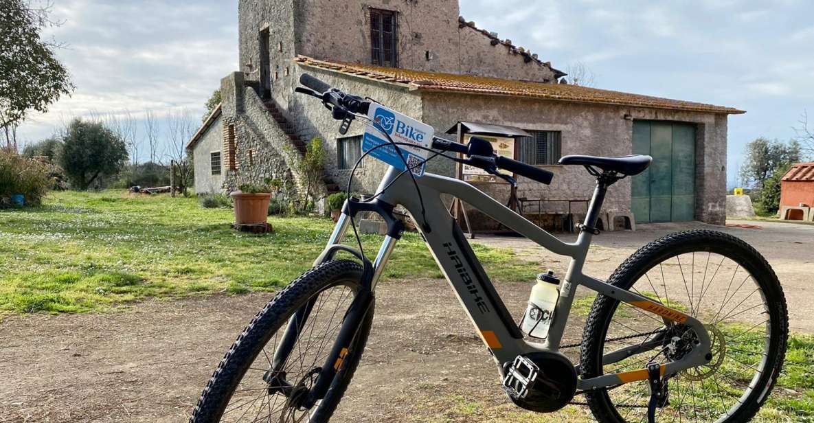 Frascati: Tour in E-Bike with Wine Tasting - Key takeaways