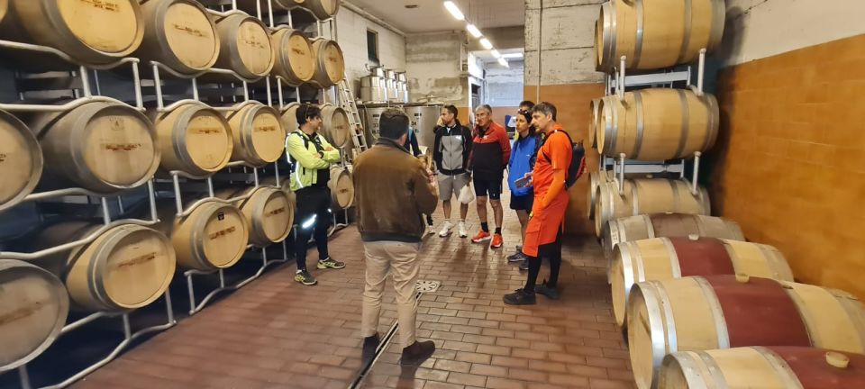 Frascati: Tour in E-Bike with Wine Tasting - Your 25 km ride: what to expect on an e-bike MTB setup