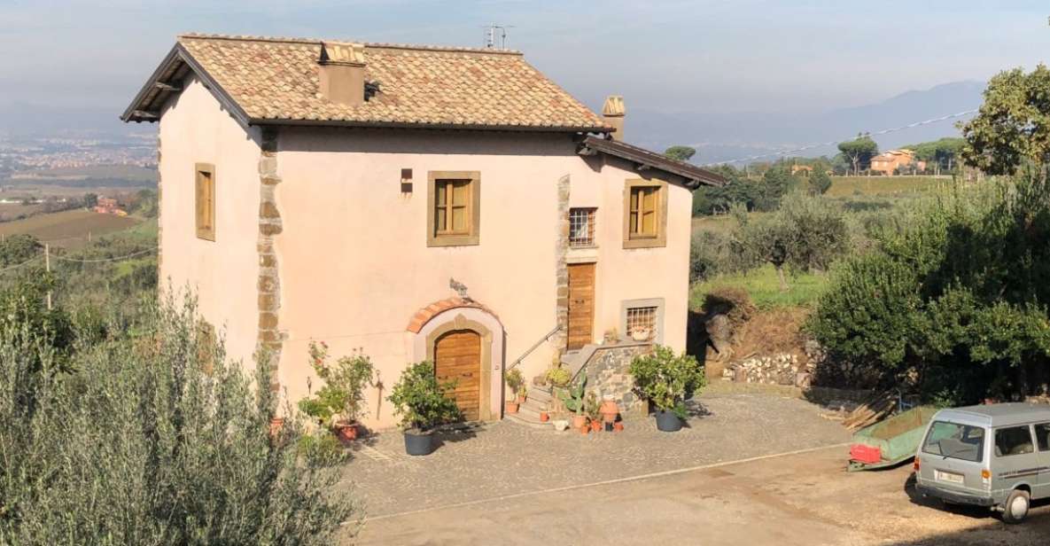 Frascati Wine Road from Rome: Tasting & Lunch - Key highlights of the Frascati Wine Road experience