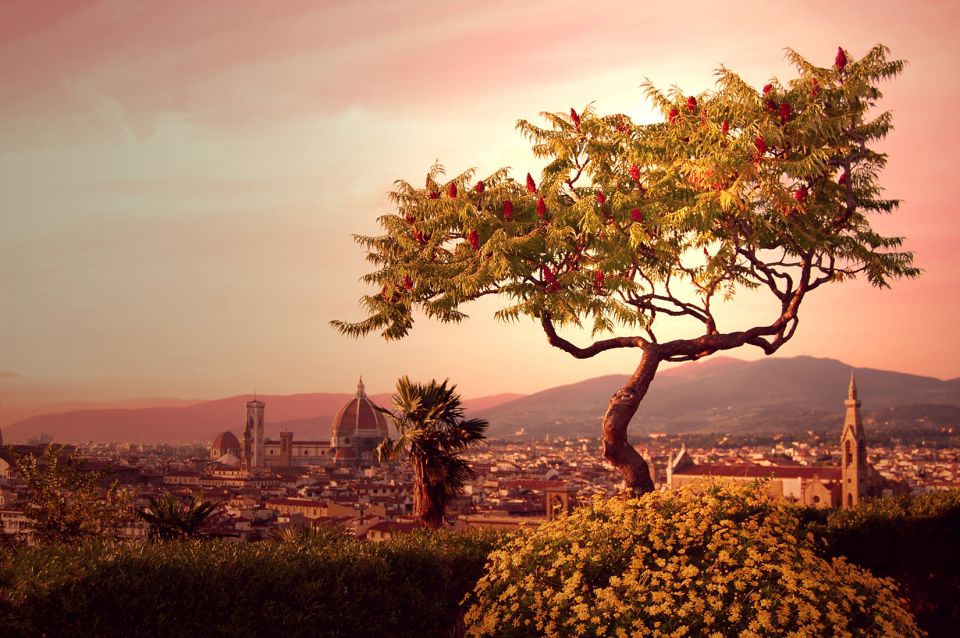 From Rome: Day Trip to Florence by High-Speed Train - Train Timing That Drives Your Whole Day