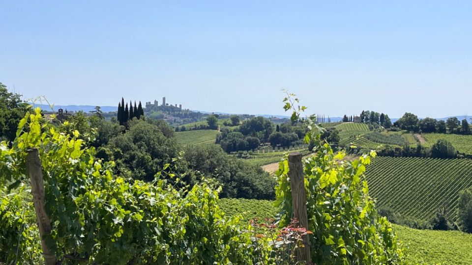 From Rome: Florence & Tuscany Day Tour by High-Speed Train - FAQ