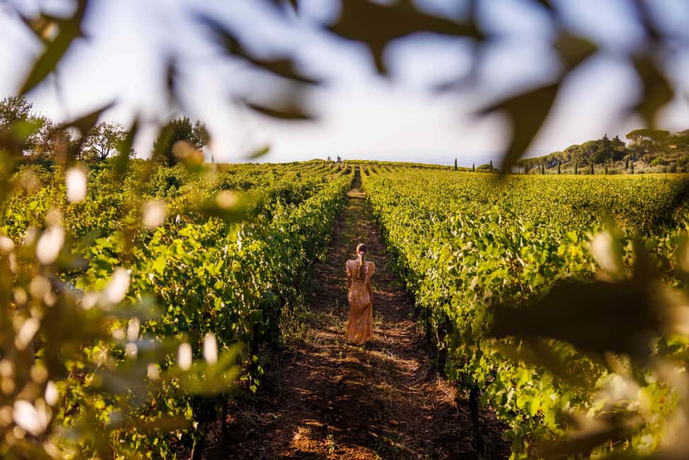 From Rome: Frascati Wine Region Tour with Wine Tasting - Key Takeaways Before You Go