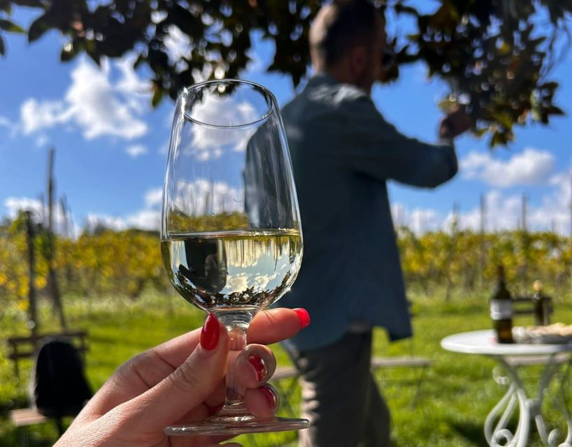 From Rome: Half-Day Frascati Wine Tour with Farmhouse Lunch - Chef Lunch at the Farmhouse: local specialties with a festive end
