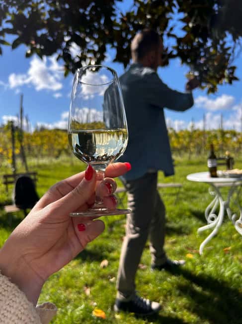 From Rome: Pasta Masterclass & Wine Tour in the Vineyard - Vineyard walk + old cellar tour: seeing wine where it’s made