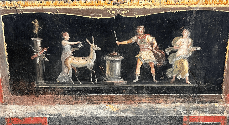 From Rome: Pompeii and Herculaneum Tour w/ High-speed Train - Who should book (and who should pass)