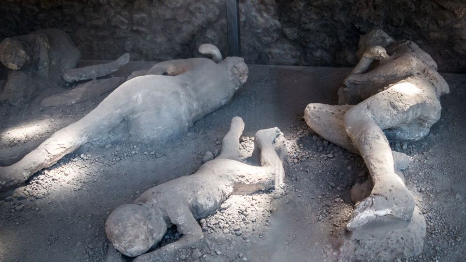From Rome: Pompeii and Naples Day Trip by High-Speed Train - Price and value: what you’re really paying for
