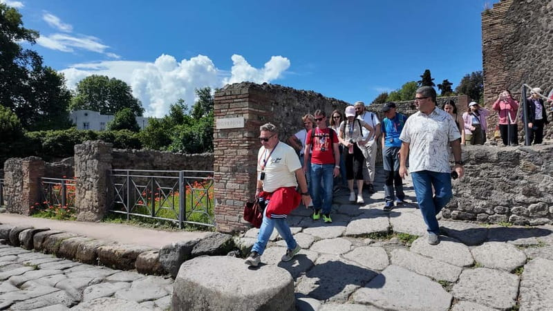 From Rome: Pompeii Ruins Tour with Expert Guide & Fast Train - Should you book this Pompeii day trip from Rome?