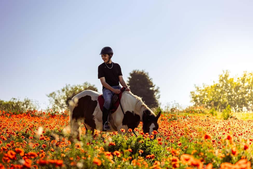Horse Sanctuary in Rome - Key things to know before you go