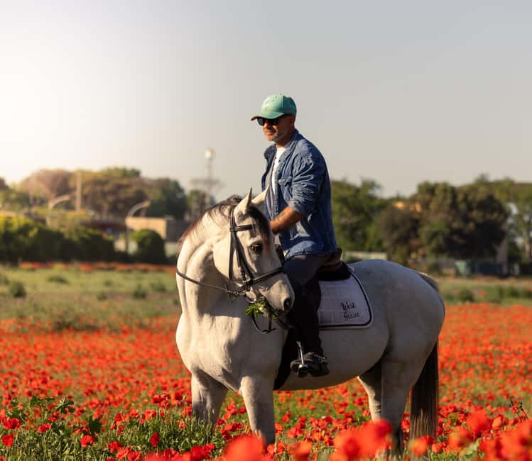 Horse Sanctuary in Rome - A horse sanctuary ride near Ostia: what you’re really signing up for