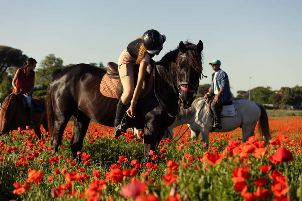 Horse Sanctuary in Rome - Meet, groom, and feed rescued horses: the part that makes it special