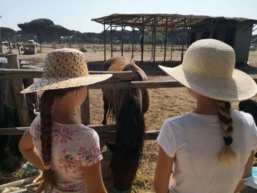 Horse Sanctuary in Rome - Your guide and the small-group setup: why it matters