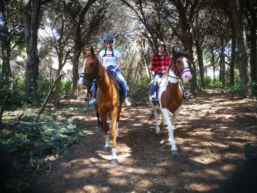 Horse Sanctuary in Rome - Price and value: is $106 per person a good deal?