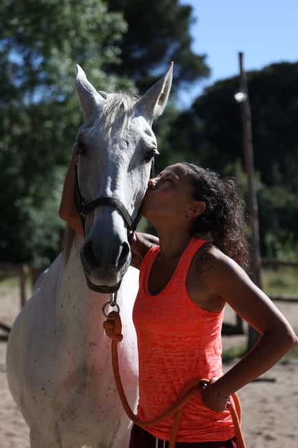 Horse Sanctuary in Rome - From coffee shop meet-up to the ranch: the 3-hour rhythm