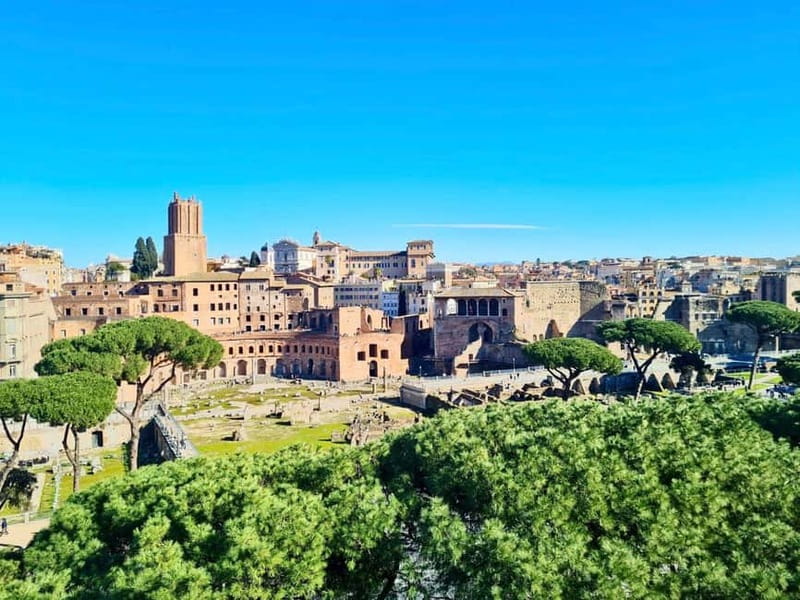 Rome: Colosseum Arena Guided Tour, Forum & Palatine Option - Roman Forum: Via Sacra and the public face of Rome