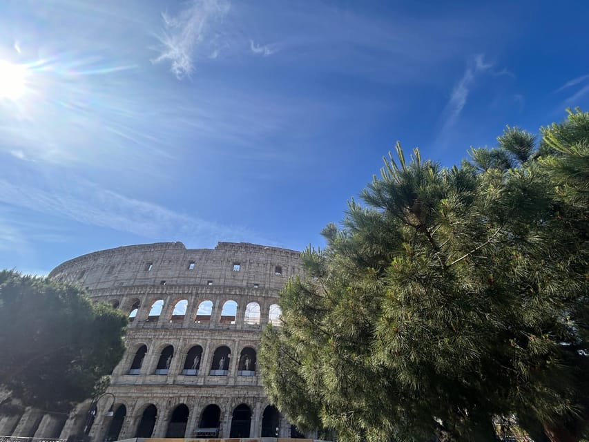 Rome: Colosseum Arena, Roman Forum & Palatine Tour - Palatine Hill: views that make the walking feel fair