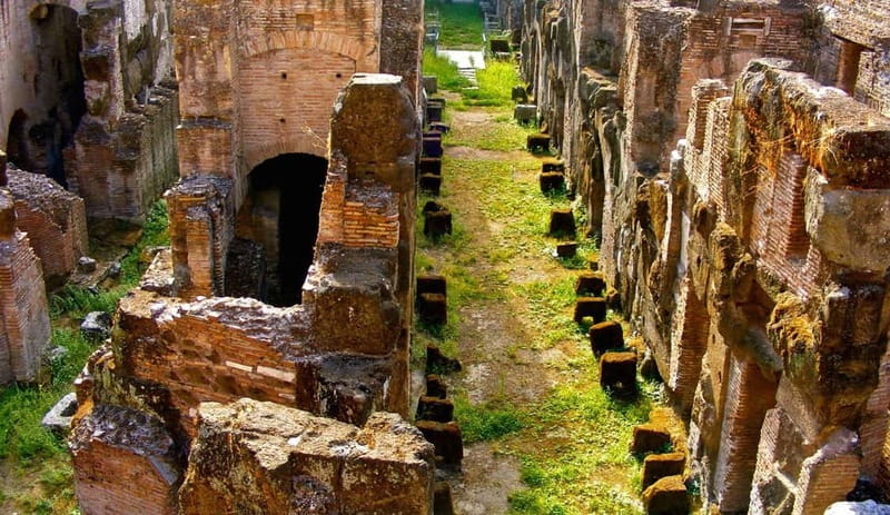 Rome: Colosseum Gladiator's Arena and Roman Forum Tour - What to bring, wear, and remember inside the Colosseum