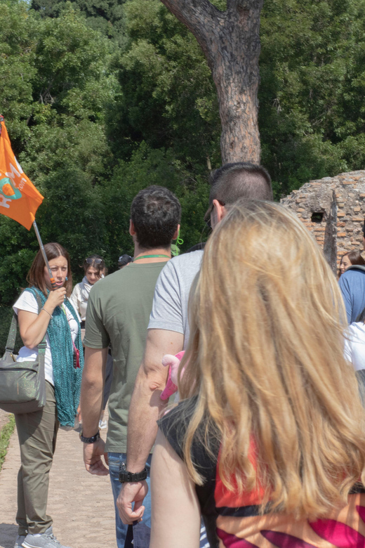 Rome: Colosseum, Roman Forum and Palatine Hill Guided Tour - Final call: should you book this Colosseum–Forum–Palatine tour?