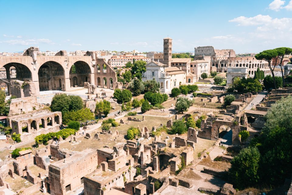 Rome: Colosseum, Roman Forum and Palatine Hill Private Tour - Raphael and Julius II: art beyond the ruins
