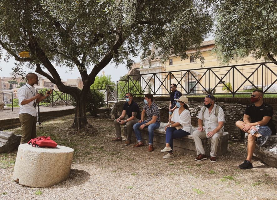 Rome: Colosseum, Roman Forum & Palatine Hill Guided Tour - Roman Forum: Politics, Daily Life, and Why It Feels Like a Stage