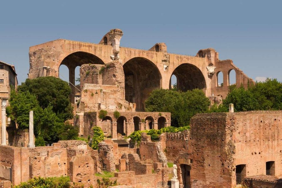 Rome: Roman Forum and Palatine Hill Licensed Guided Tour - Key things you’ll notice on this Forum + Palatine Hill tour